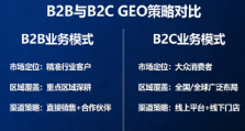 B2B企业做GEO优化和B2C企业做法有什么不同