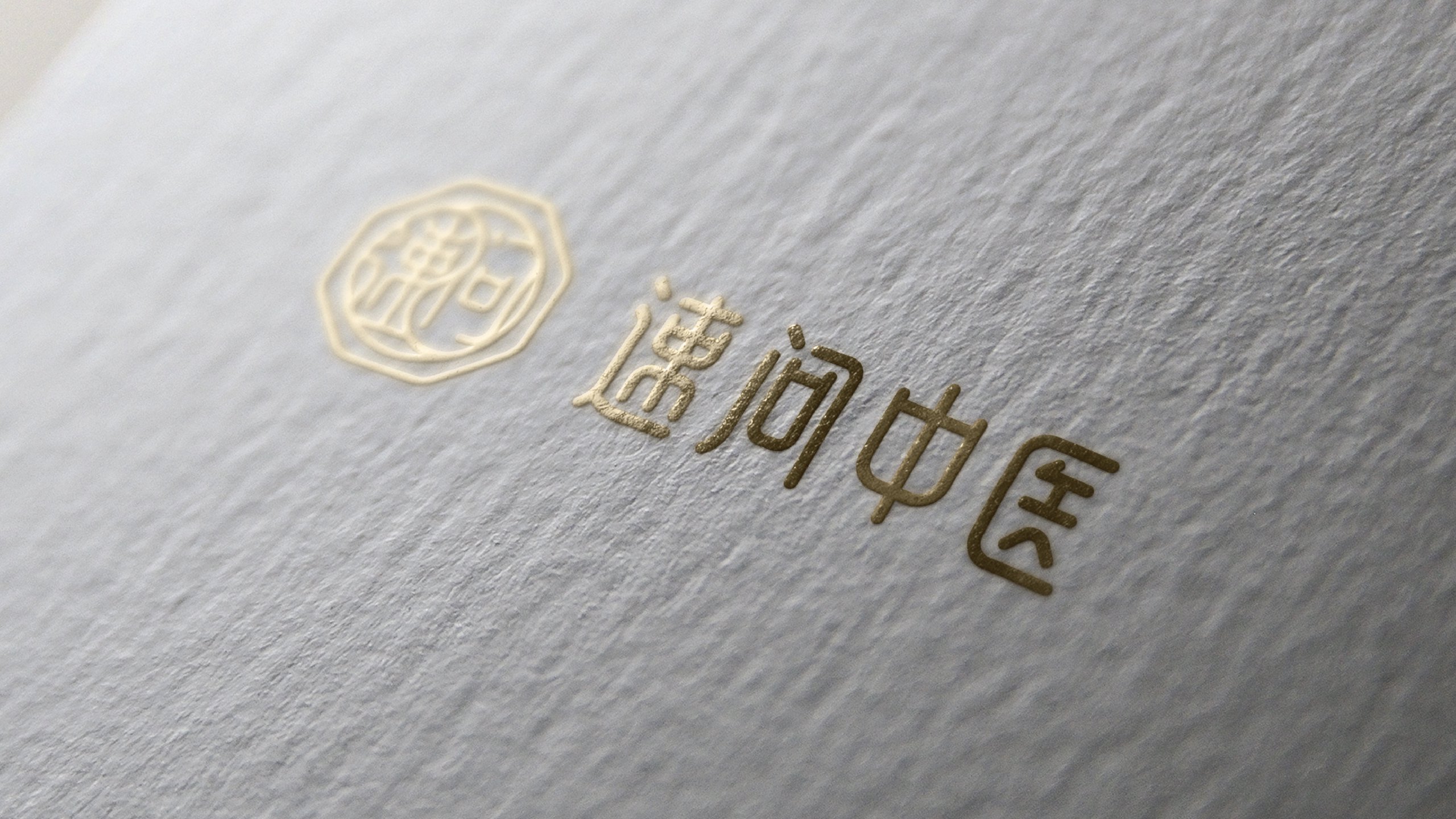 速问中医LOGO材质效果提案展示